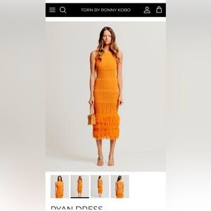Torn by Ronny Kobo Terracota Ryan Dress